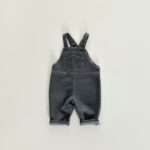 1739167598538 black.jpeg