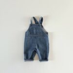 1739167599963 denim.jpeg