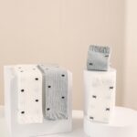 1735544485032 1 3.jpeg