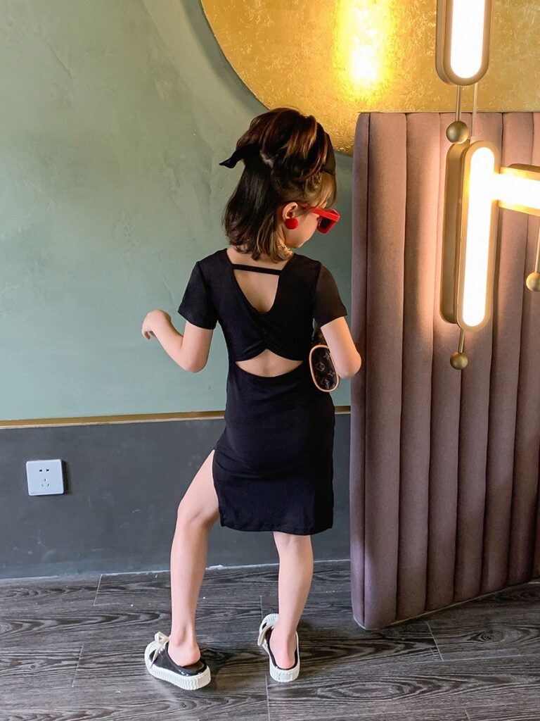 hs 1